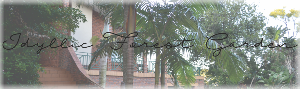 idyllic forest garden